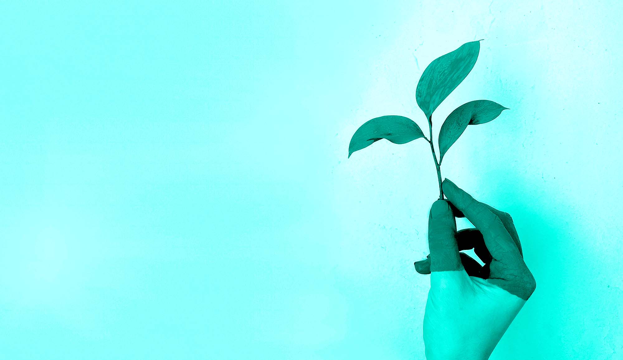 Digitale Events, die nach Ansicht des Klimaexperten wichtig sind.